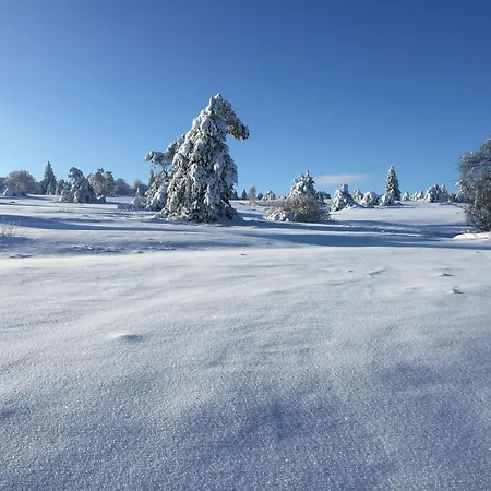 Fachwerkliebe Sauerland *