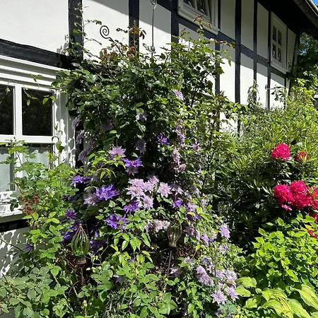 Apartment Fachwerkliebe Sauerland *